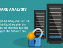 Viettel Advanced Malware Analysis