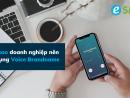 Voice Brandname